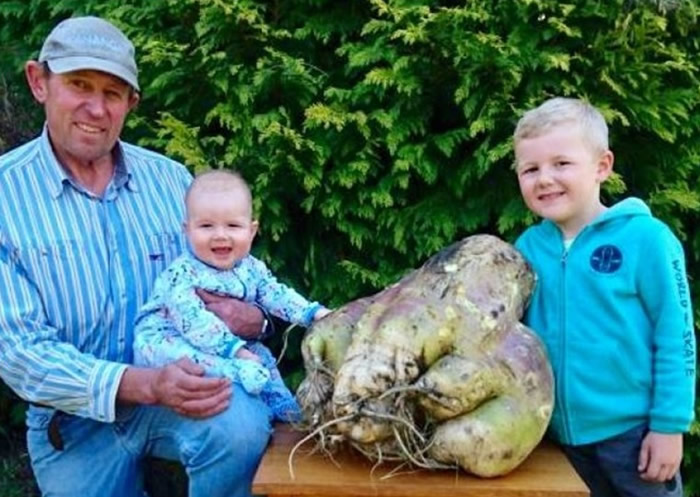 ˹ũ16ֳͺܲ 45ֳųصݼͷˣ