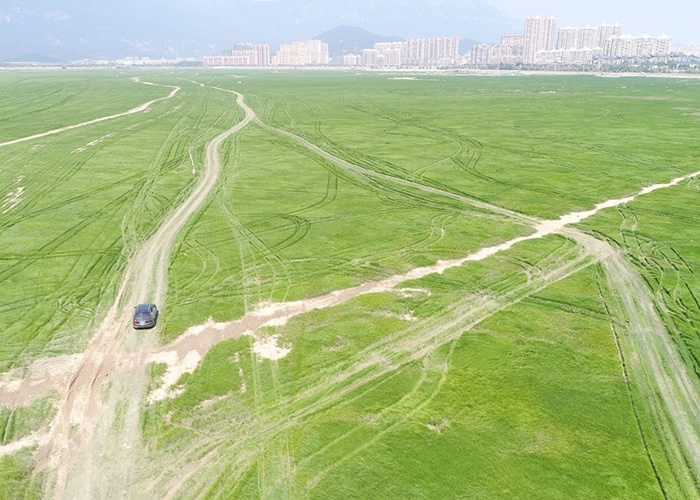 多车在干涸的鄱阳湖行驶后,现出大量纵横交错的车痕。