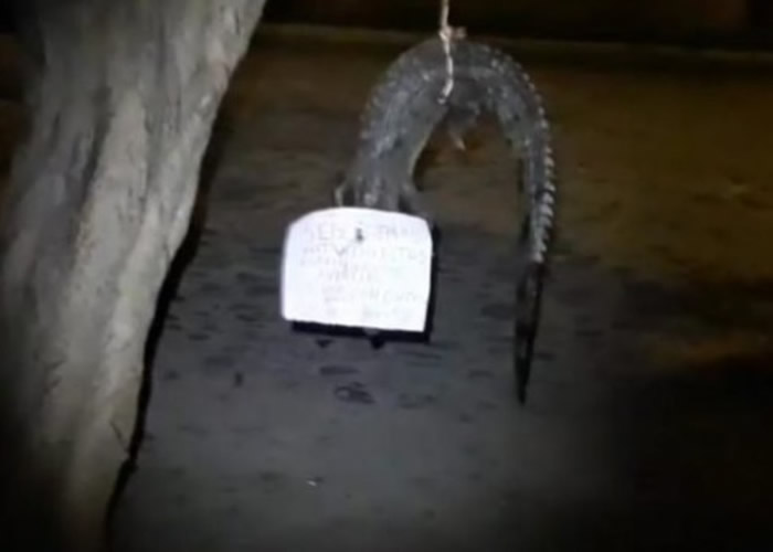 ī����ȼ�ʤ��һֻС�������˵������ϲ��� �������ԡ������ɱ��