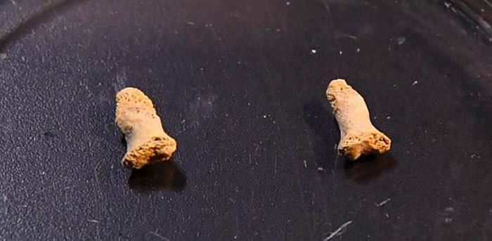 Ѩз11.5ǰϮԵᰲ˺ӵź