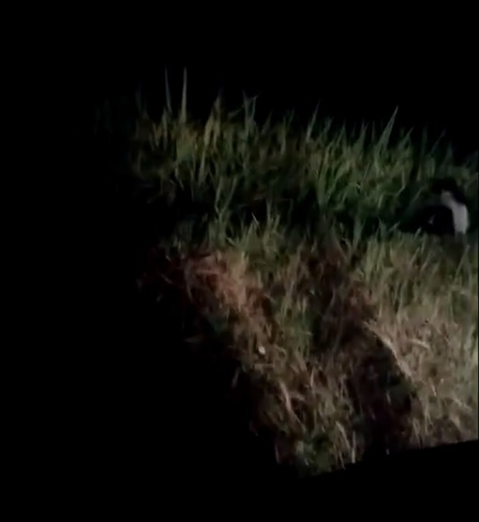 网友称经过老挝的琅南塔时在路边拍摄到身穿白色衣服的单腿幽灵