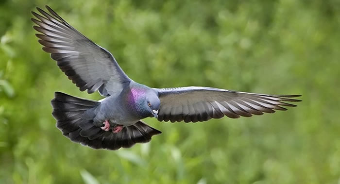 2018���ԡ���Ϊ��׾���������Ƶ�������ľ�루kerer�����״ζ��