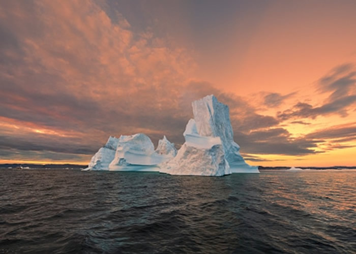 38个非牟利组织吁环保 育林减畜牧可纾解暖化