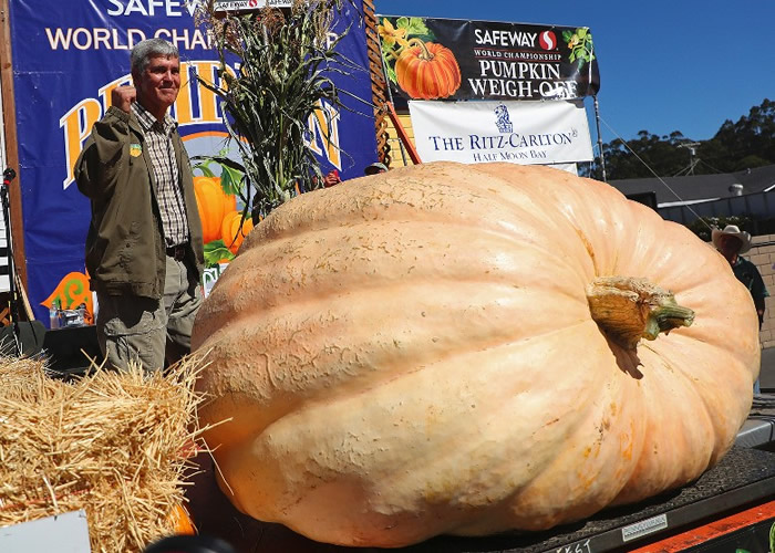 ������˹�ٴ��Ծ����Ϲ϶�ùھ�������