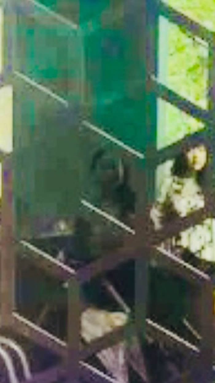 英国妇人偕家人游览位于伦敦“V&A儿童博物馆”惊见中国少女冤魂?