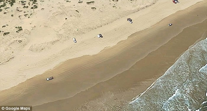 澳洲冲浪客清晨冲浪时遭鲨鱼攻击 挥拳反击自救