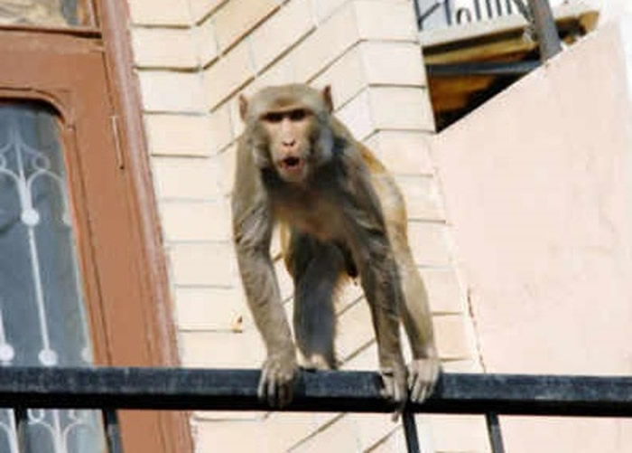 ӡȱ7ѮúשͷͼΪصĺӡ