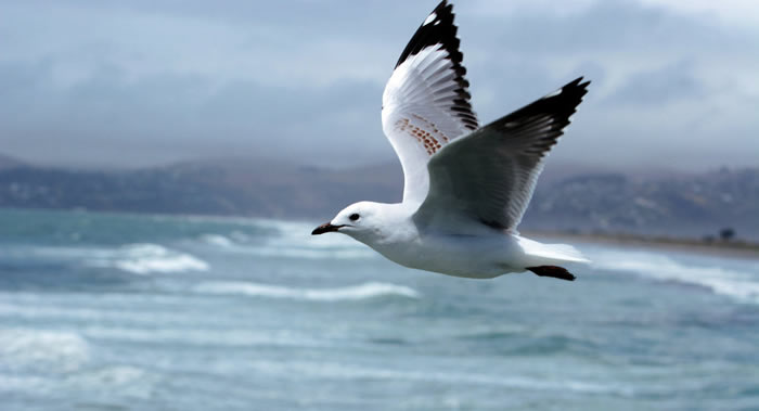 飓风Walkala使夏威夷群岛一个岛屿没入海中