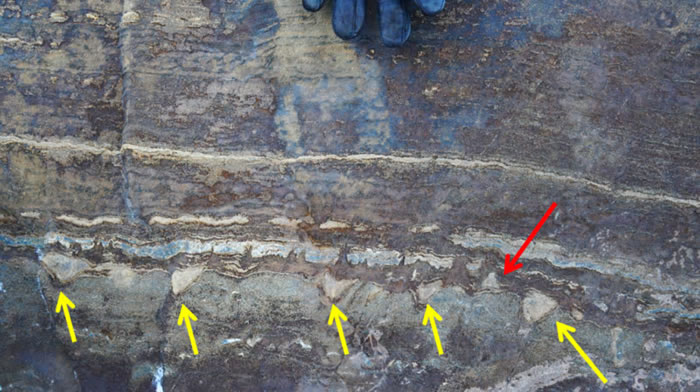 ��֪���������ż�����ʯ�ṹ�����Ƿ�����Դ