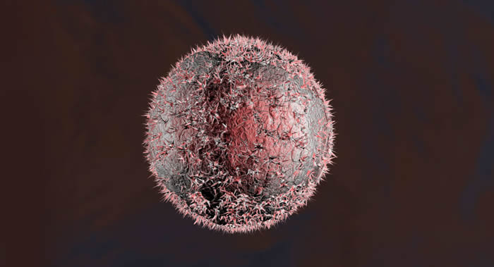 科学家证明吃有机产品能降低某些类型癌症的风险