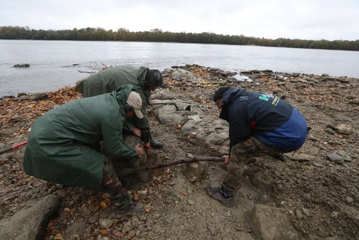该批珍贵文物深埋在匈牙利境内多瑙河底。
