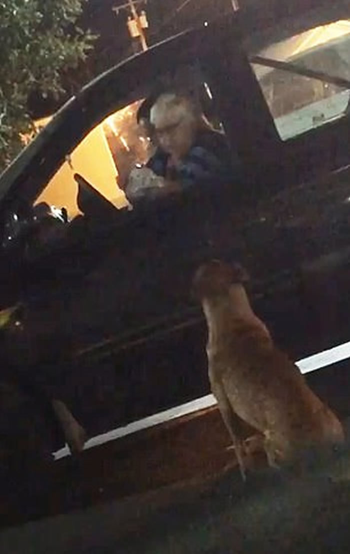 ����������������һֻ�ƻ��Ĺ���װ�����˹�ƭ;���򺺱���ι��