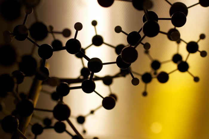 一本名为《缠结之树》(The Tangled Tree)的新书,解释了为什么演化和达尔文所理解的并非一模一样。人类基因组中约有8%是由病毒DNA构成,那是我们昔