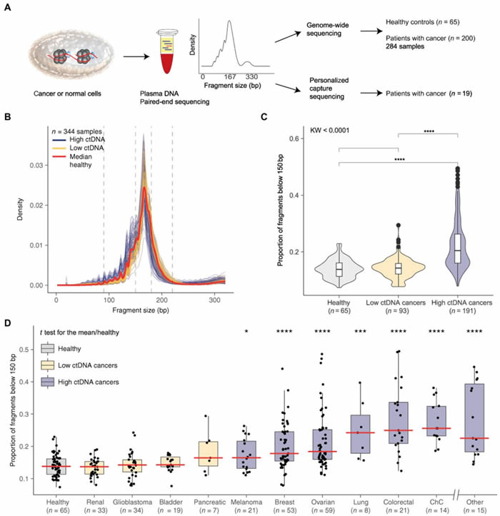 DNAƬεĴС߻ѪҺĶ԰֢ļ