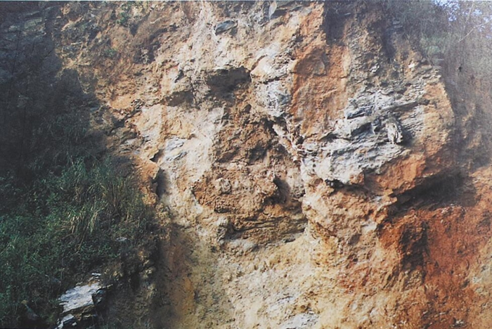 ���ֲ�ʯ��һ�ǡ������� ����