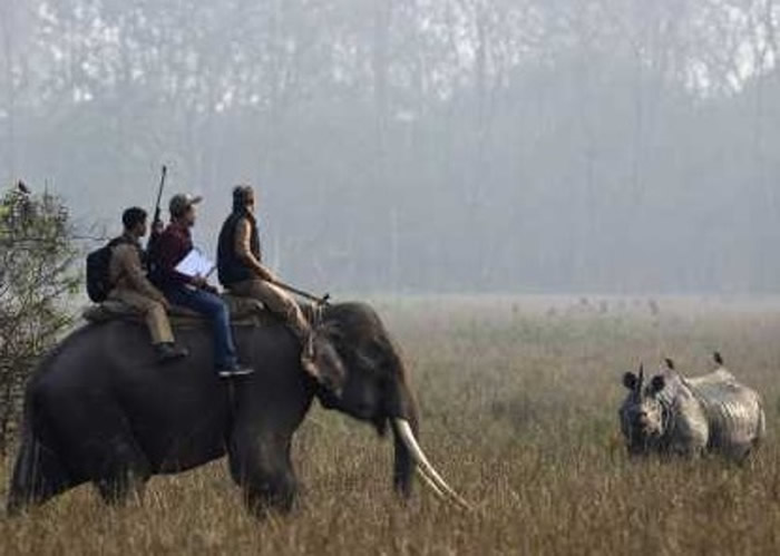 报告指人类对野生动物构成最大威胁。