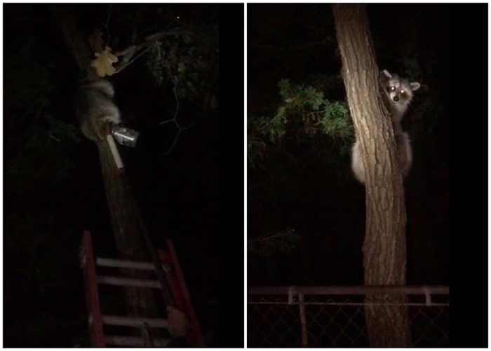 ���ͷ���ڻ�����ƿ�ڣ��һ��Ԯ��Ա��ʱ������