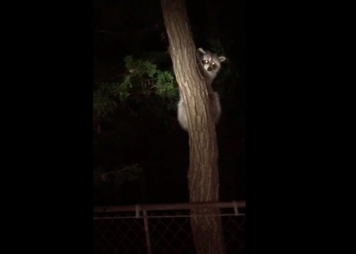 ��ܻ���������ϻ����������ˣ����Ǳ���л�⡣