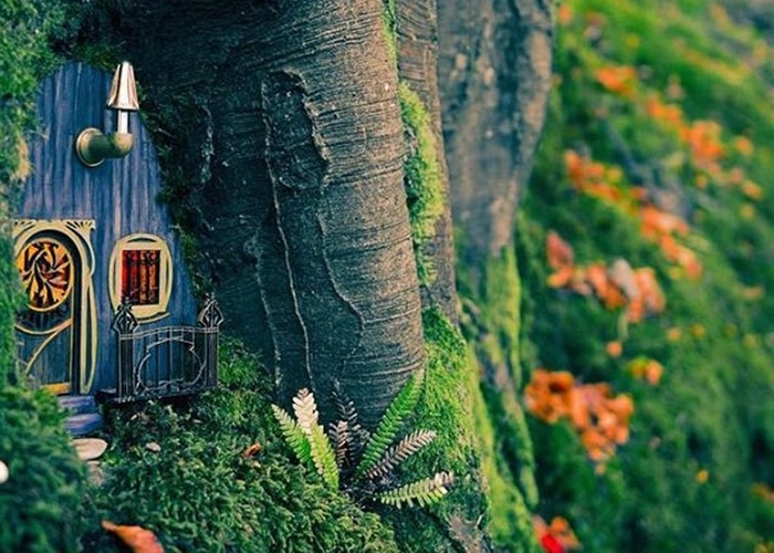 这间精灵小屋藏身树洞中,不留意就会看不见了。