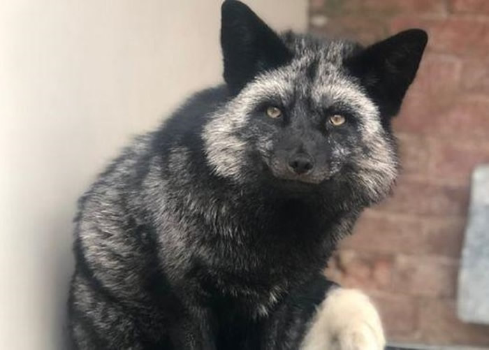 �������ɰ�������Э���չˡ�