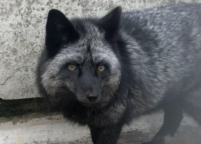 ������ǰ����Ϊ���˵����ס�