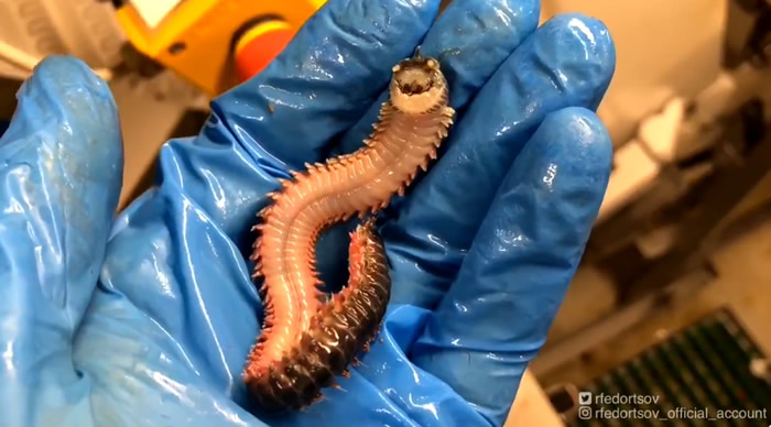 ����˹Ħ����˹����򧲧�ާѧ� ���֧է����ӷ�������ġ����캣�֡�