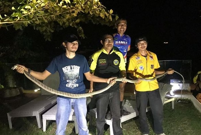 ̩����÷�������۾����߰������� �����ɺ�Ӿ�Ż�����ĸŮ