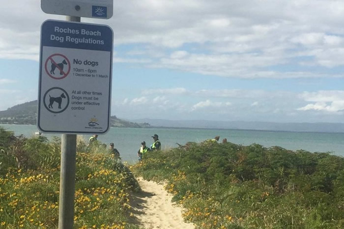 ������˹������Ӿ������ħ������˸�������