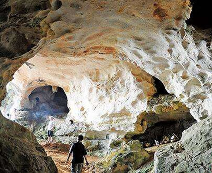青塘遗址藏岭南最早史前墓葬?广东英德青塘遗址考古成果专家论证会召开