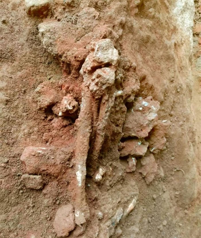 青塘遗址藏岭南最早史前墓葬?广东英德青塘遗址考古成果专家论证会召开