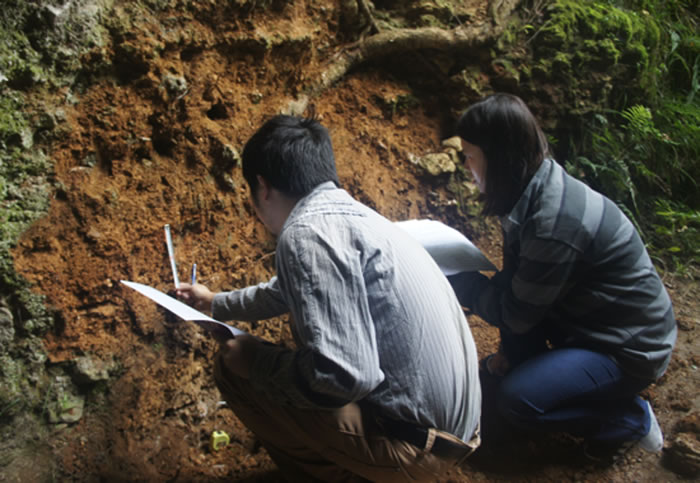 �����Խ�ڹ�������ַ�ز���� ����Խ ��ͼ��