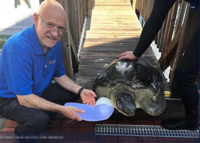 卡罗尔为洛奇制造义肢。