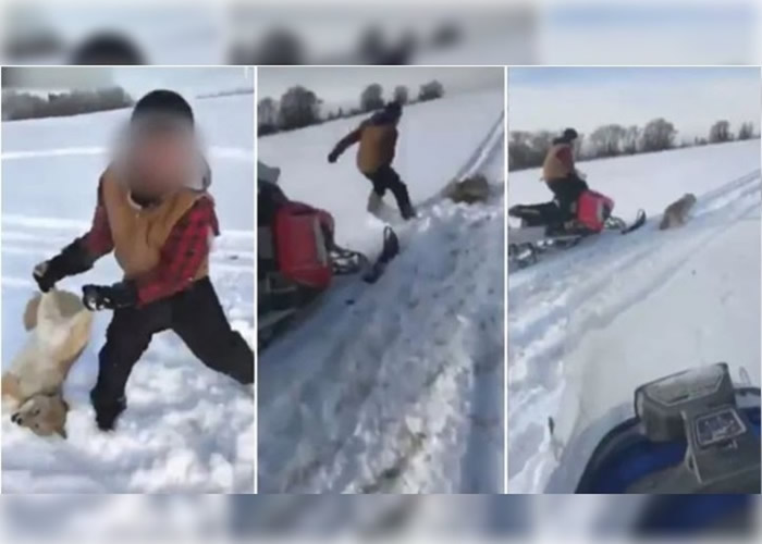 ���ô󰬲���ʡһֻ��������������Ű������