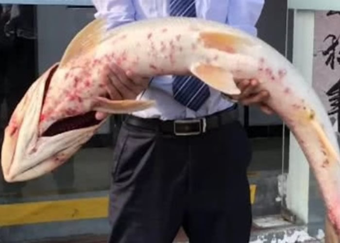 ݷخ˹ھ1.4׳͹ Ϊġh㡱