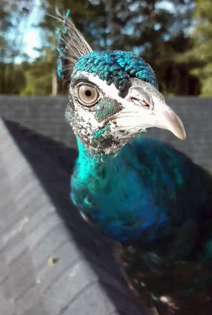 Լ��ѷ��ϣ����ȸ���ڼ����ڼ�ؼҡ�