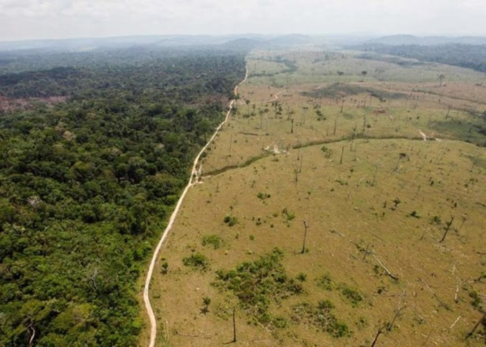 农业扩张也会侵蚀亚马逊雨林。