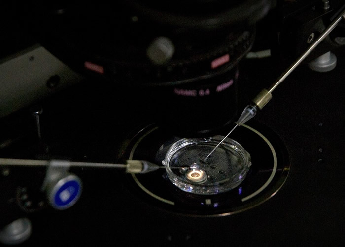 南方科技大学生物系副教授贺建奎争议!宣称成功修改基因免疫艾滋病惹质疑