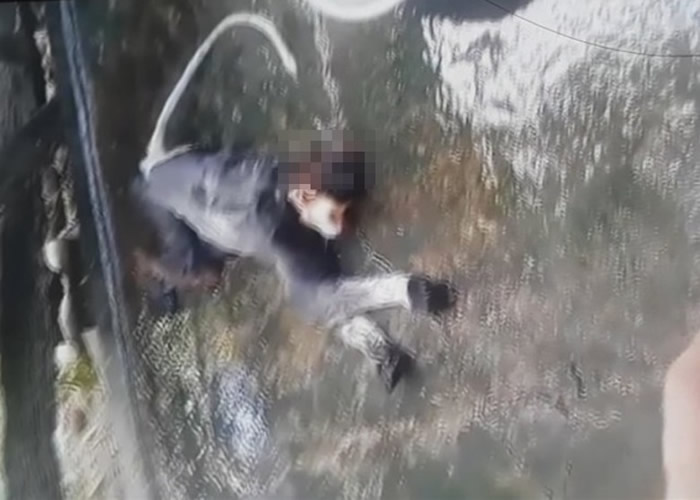 越南河静省5名男子Facebook直播生食猴脑 恐囚15年