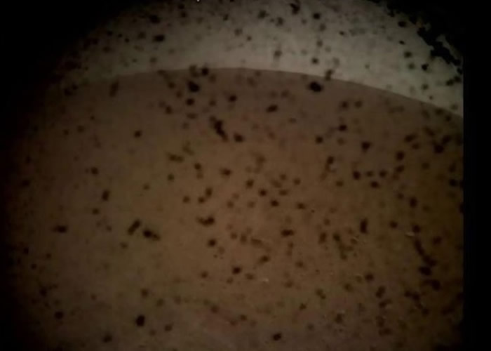 ����Ŵ��ذ�������ƽԭ���׸�Ӱ��