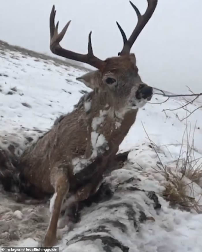 ô󰬲ʡ¹ѩز· ˫Ի