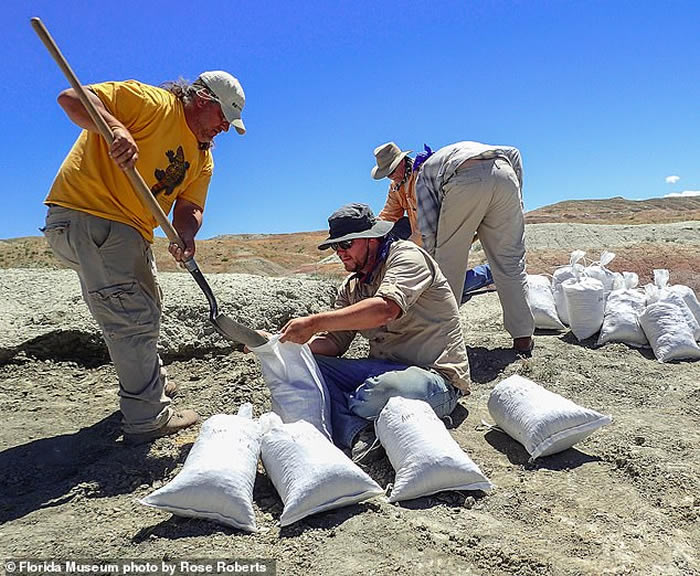 5600ǰִ鳤Ŀ֪ȡϺڱ½