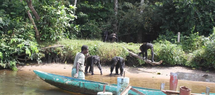 �����ڷ�����������Ұ�Ÿ�Ⱦ��Ⱦ����ʵ���Һ����� �������ʳ���壡