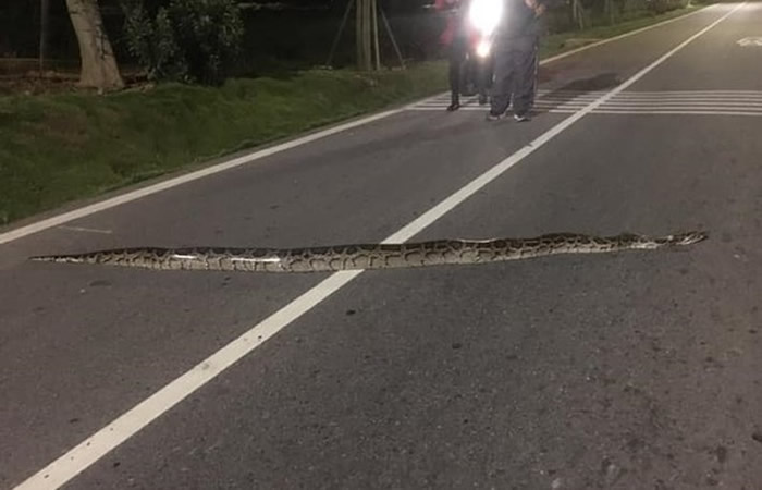 ̨�������ڽ����ĵ�2���߳������������������·