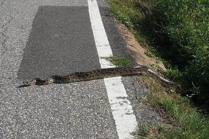 ̨�������ڽ����ĵ�2���߳������������������·