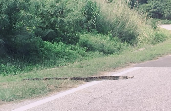 ̨�������ڽ����ĵ�2���߳������������������·