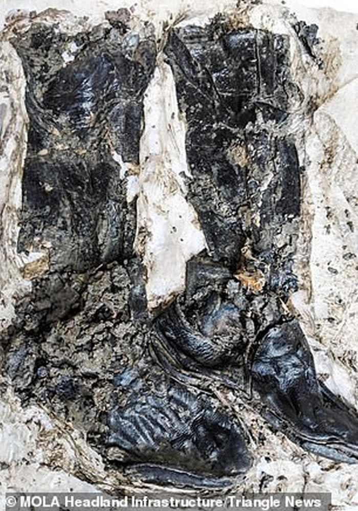 Ӣ��̩��ʿ�ӺӴ������һ��15���͵����Ժ��� �״η��������ͳ�ѥ