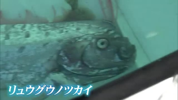 ��к�ػʴ��㱻��������չ����