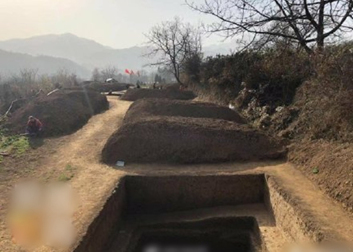 ������Ա��������8������ӡ�