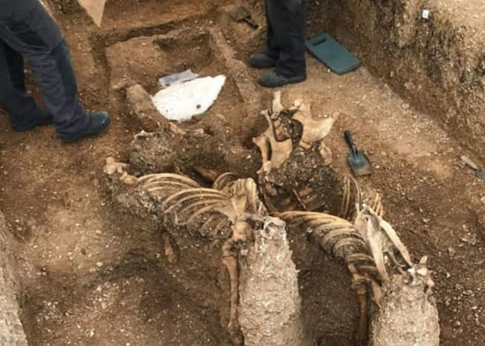 ����Ʒ����������