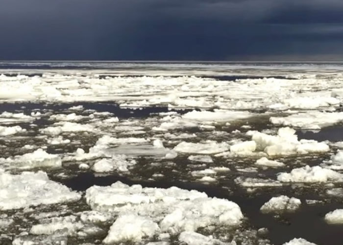 北极最古老冰层30年内减少95% 新冰易融加剧海平面上升